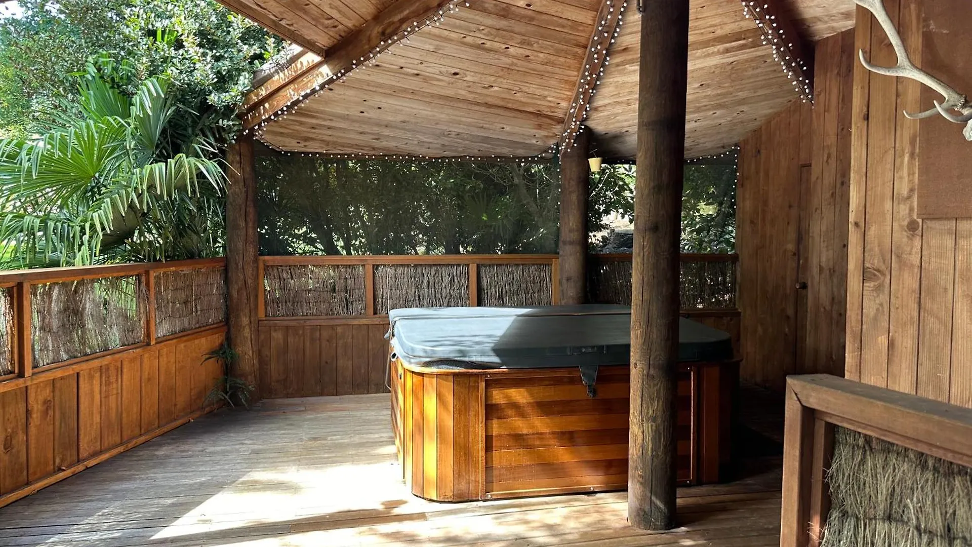 The Manor - Spa, Sauna, Huge Grounds Taupo Holiday home